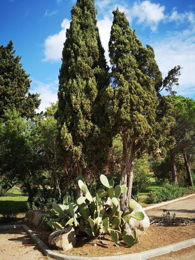 Residence Cala Sultana -Baie Santa Giulia - rez jardin 1ere ligne Porto Vecchio Esterno foto