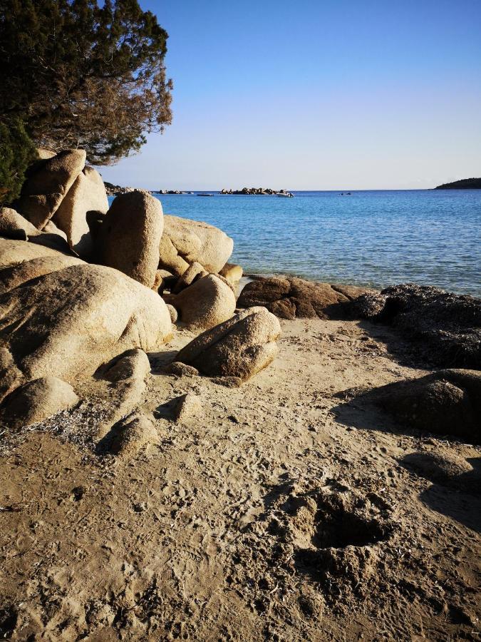 Residence Cala Sultana -Baie Santa Giulia - rez jardin 1ere ligne Porto Vecchio Esterno foto